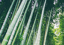 滹源国家AAAA级景区